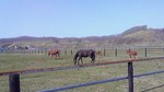 201004270904001.jpg