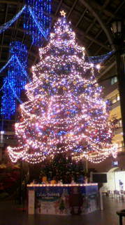 2012112719580000.jpg