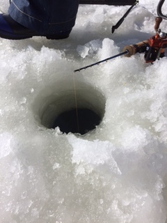 わかさぎ 佐藤水産 3.jpg