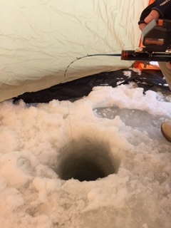ワカサギ 桂沢 8.jpg