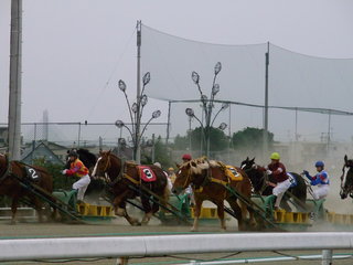 帯広競馬.JPG