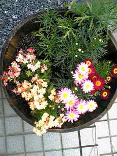 花.jpg